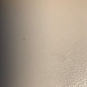 Meet your Posher, Brittney